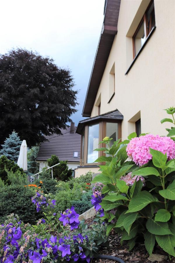 Ferienwohnung Hans Im Glueck Olbernhau Kültér fotó